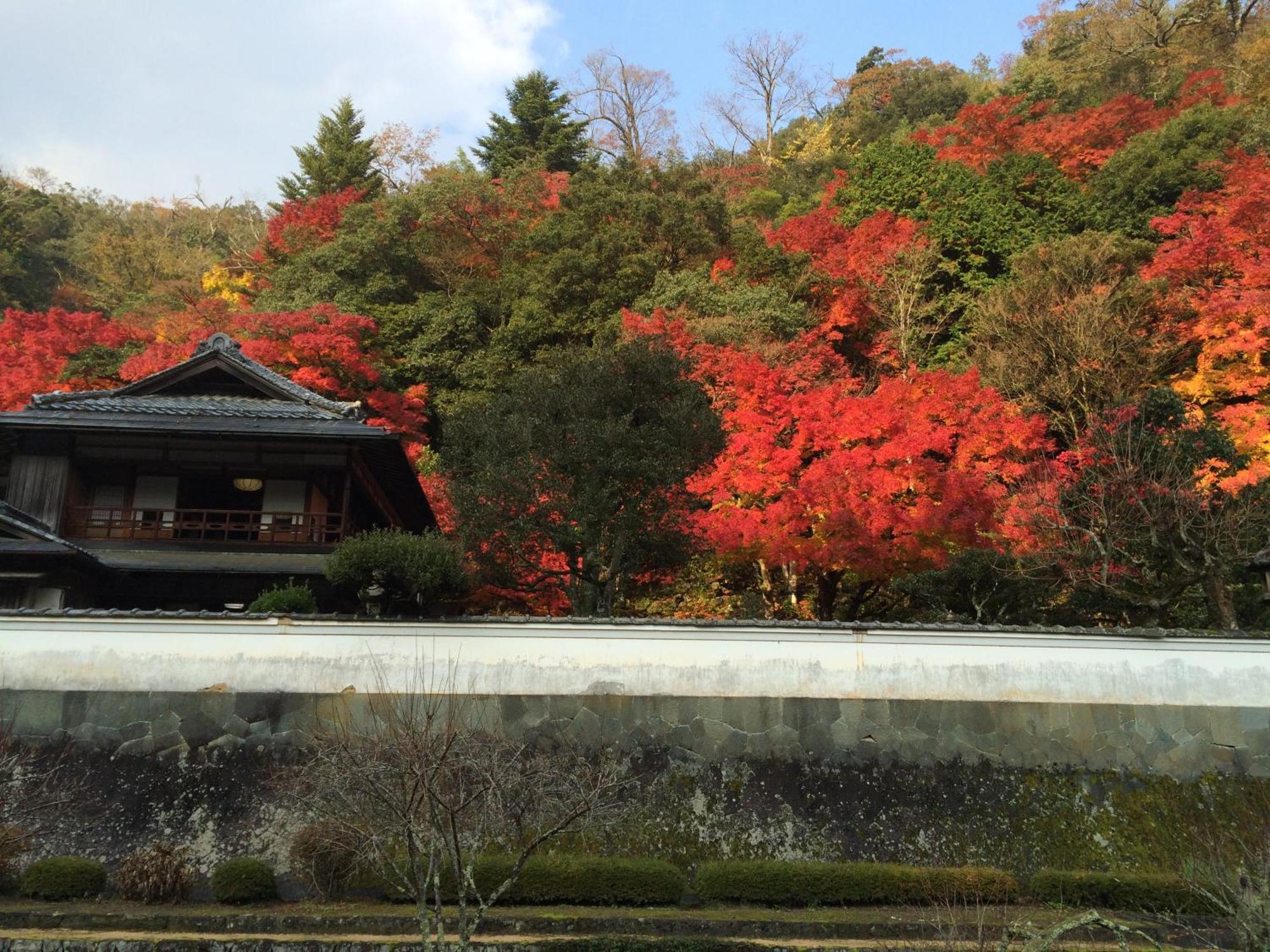 Noren Yado Meigetsu Tsuwano Exterior photo